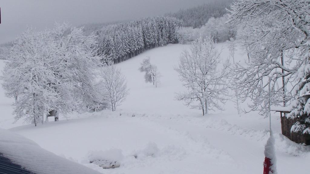 Hotel Le Grand Chalet Foncine-le-Haut Esterno foto