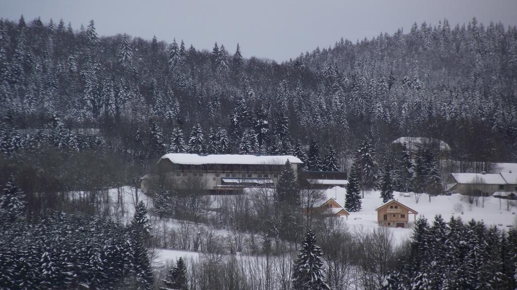 Hotel Le Grand Chalet Foncine-le-Haut Esterno foto