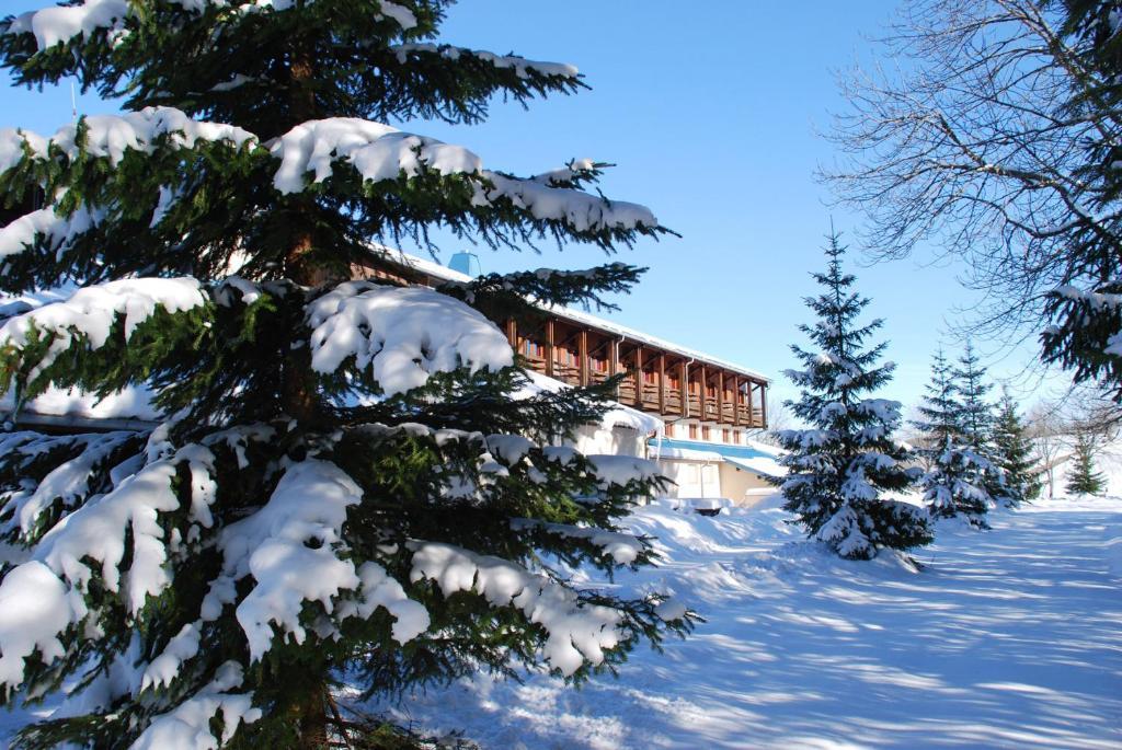 Hotel Le Grand Chalet Foncine-le-Haut Esterno foto